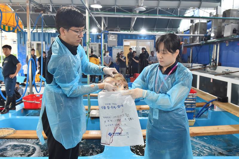 수산물 안전성 검사